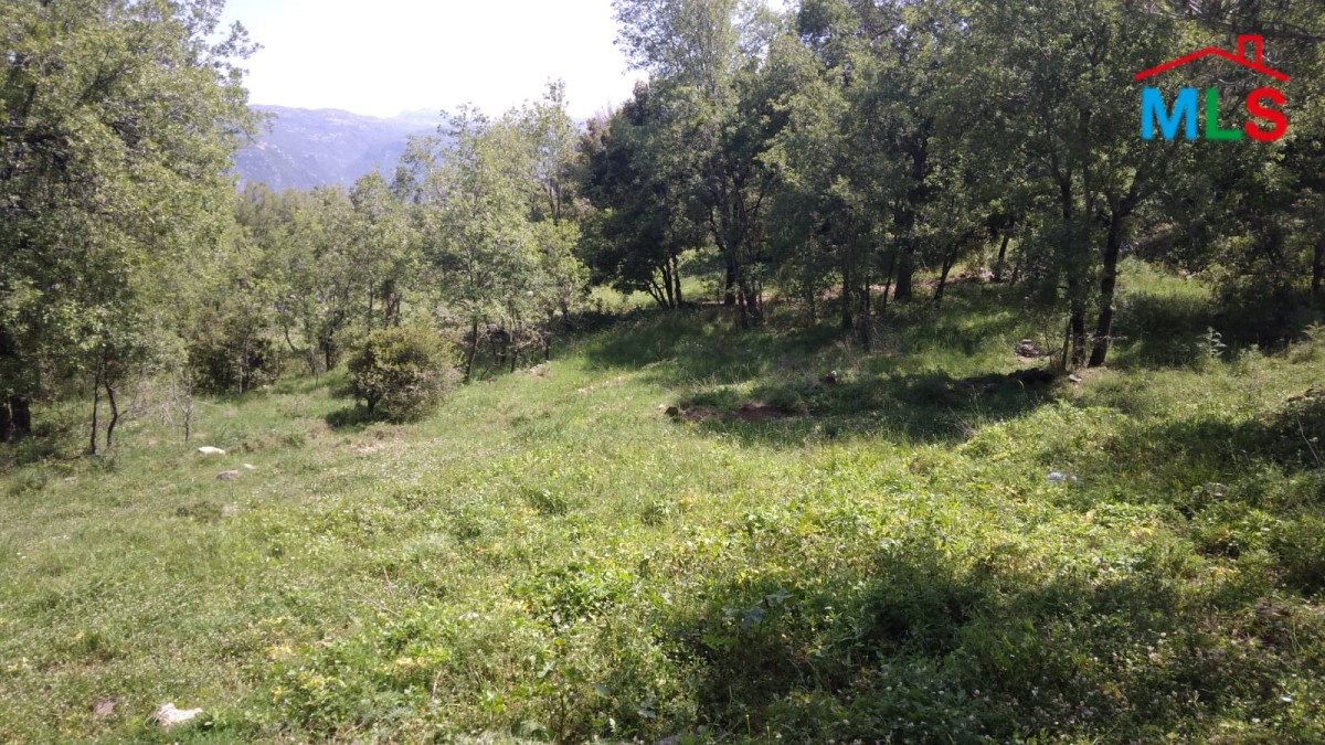 Land With A Great Mountain View for Sale in Bikfaya