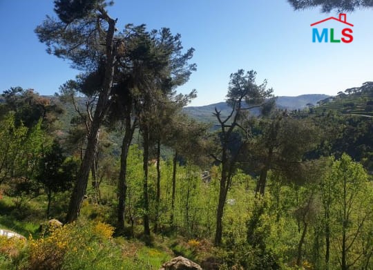 Beautiful Land For Sale in Baskinta Surrounded with Greenery