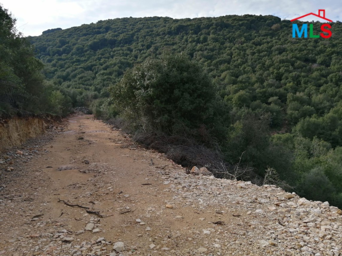 10,237 sqm Land for Sale in Bijdarfel Batroun