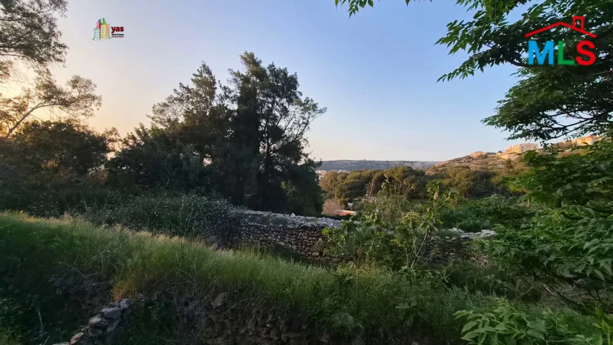 Batroun 1830m2 | Land with old house | Dead End Street | 30/90 | MCH