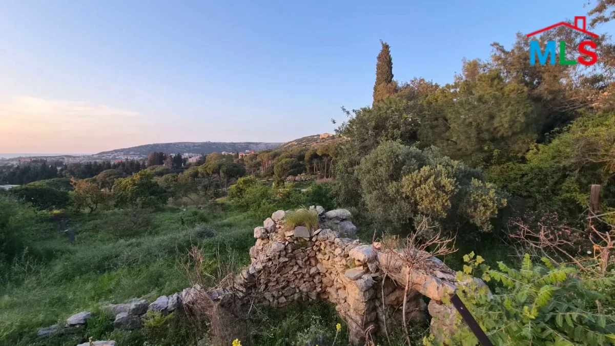 Batroun 1830m2 | Land with old house | Dead End Street | 30/90 | MCH
