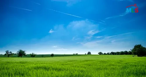 Ballouneh 800m2 | Land | Calm Area | Ratio 40/120 | WL