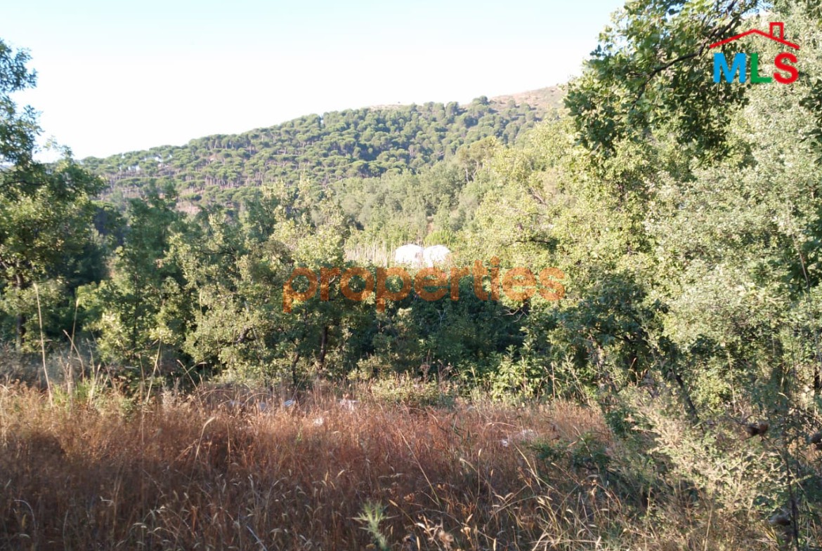 Land For sale in Baskinta – CPKMF52