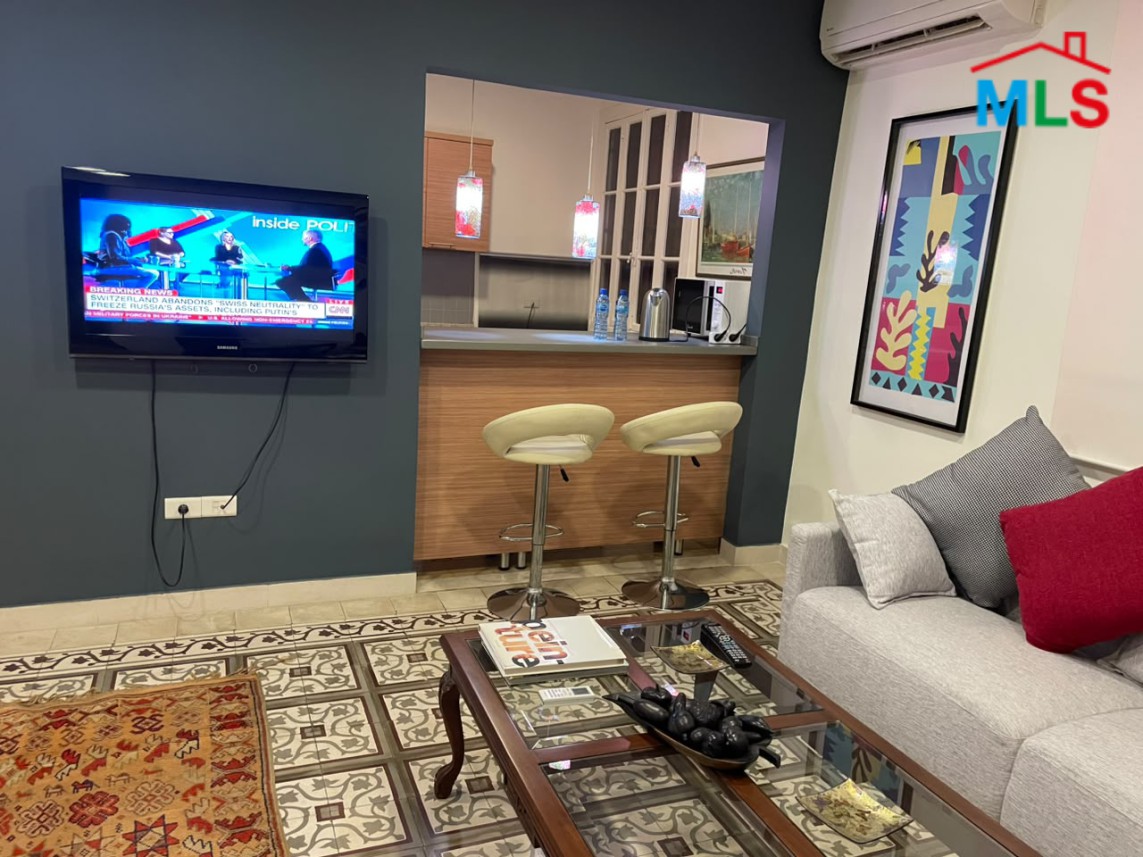 Furnished Rooftop Apartment with Amazing View in Clemenceau