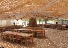 from db