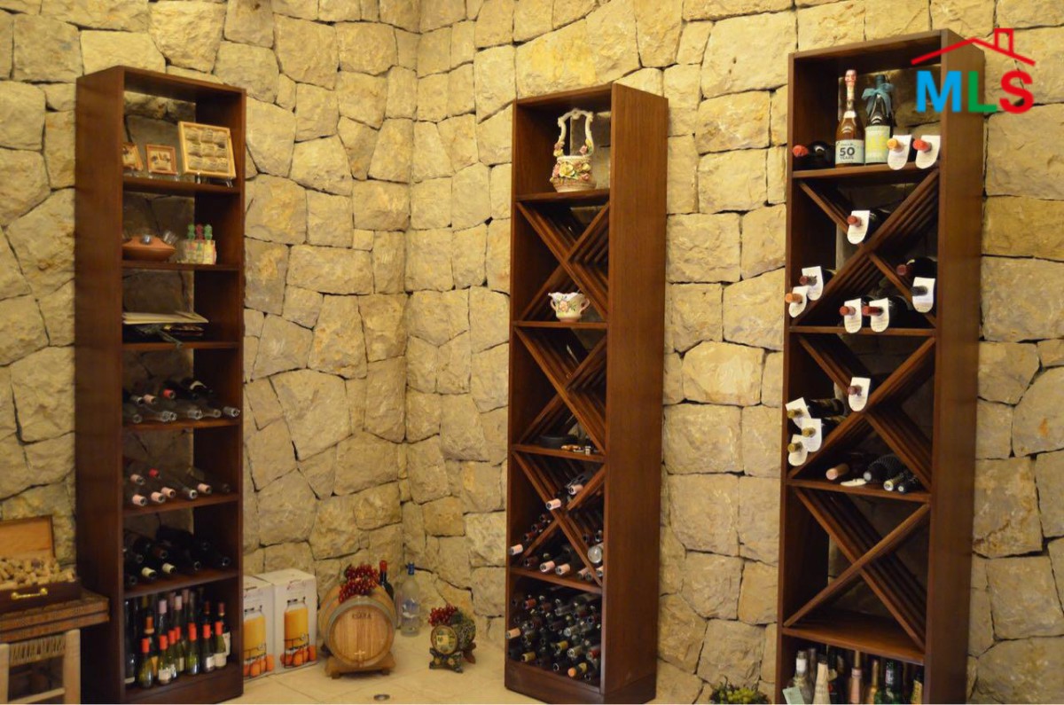 Furnished Villa with An Amazing Garden and Pool For Rent In Beit Chabeb
