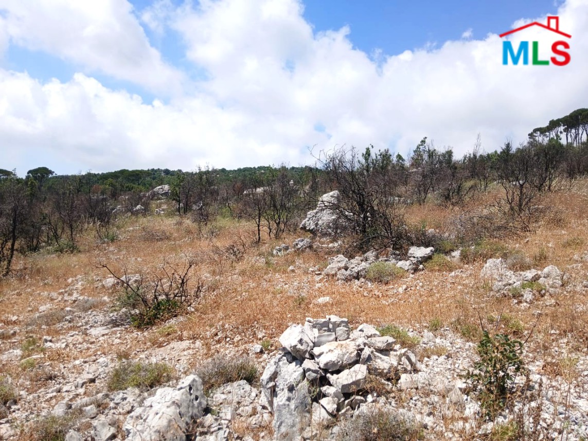 6,500 SQM Land With Mountain View For Sale in Mtein