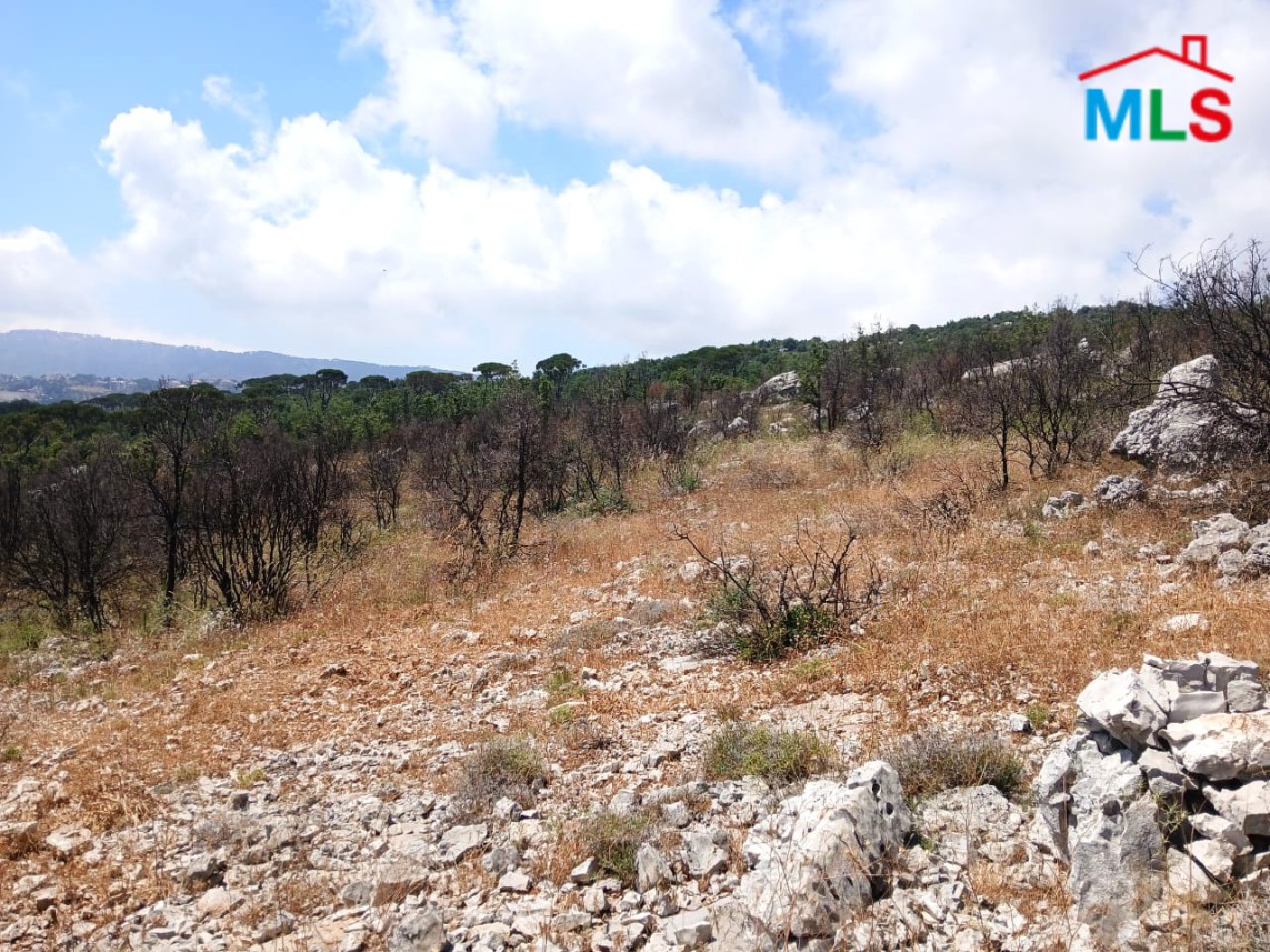 6,500 SQM Land With Mountain View For Sale in Mtein