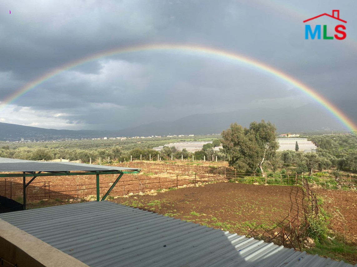 6,334 SQM Land with Farm For Sale in Zgharta