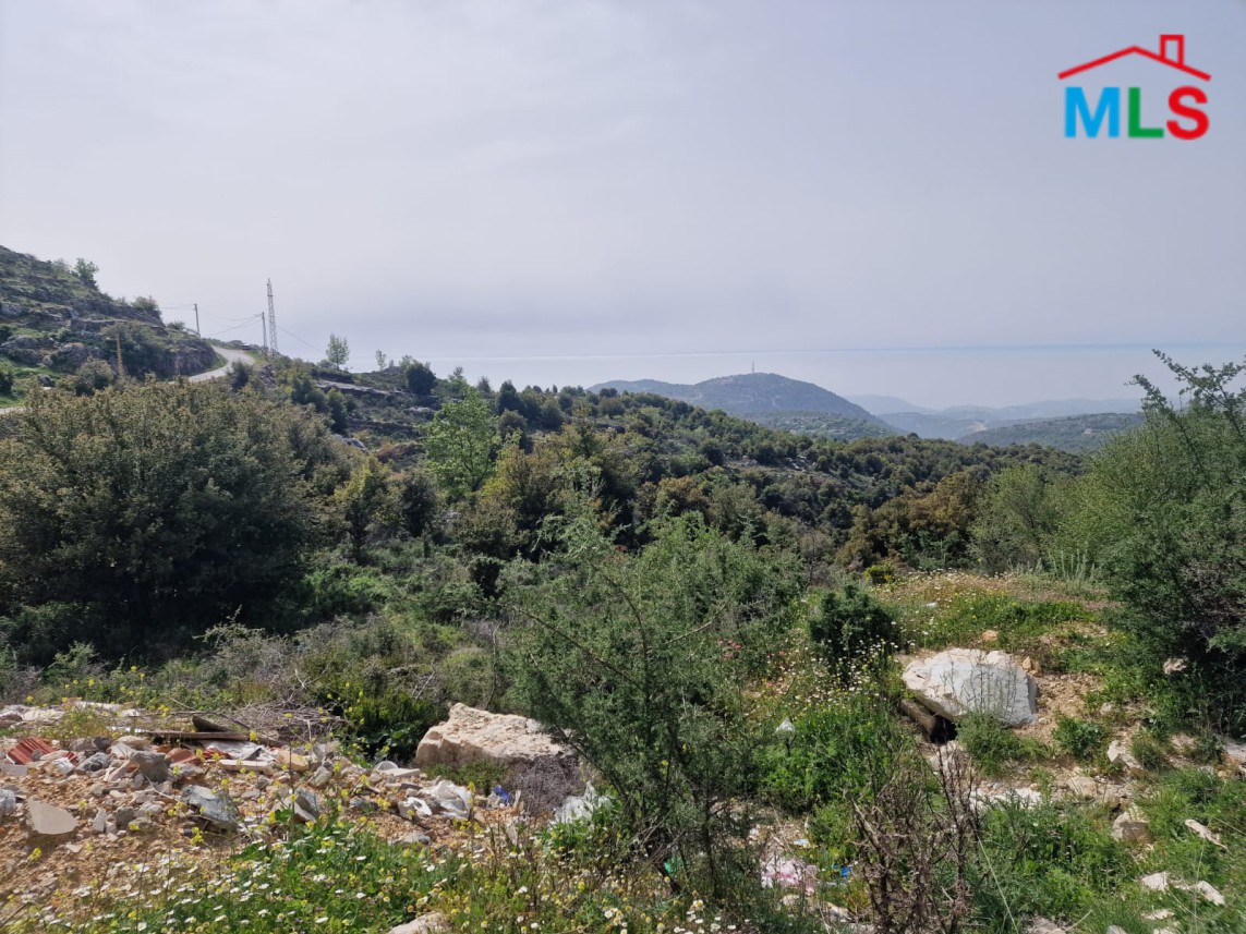 A Unique Land for Sale in Lehfed