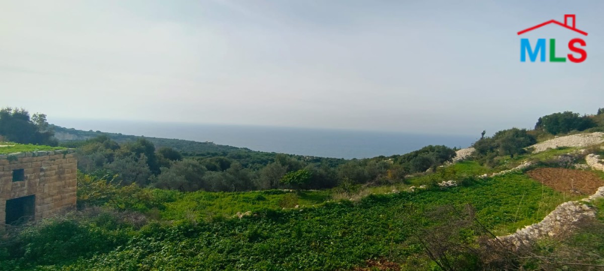 1,200 SQM Land for Sale in Berbara